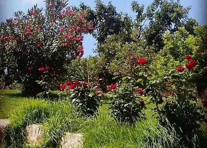 Villa Il Rifugio Della Quiete *