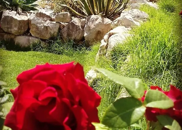 Il Rifugio Della Quiete *