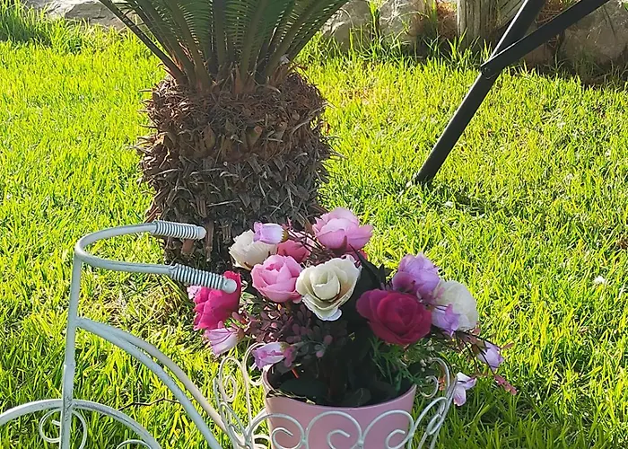 Il Rifugio Della Quiete *